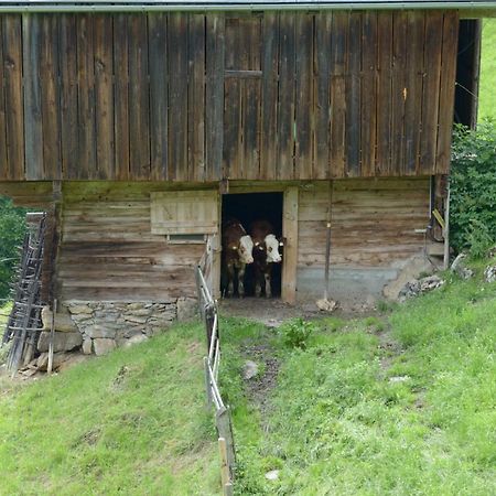 Bergpension-Ebental Brixen im Thale Dış mekan fotoğraf