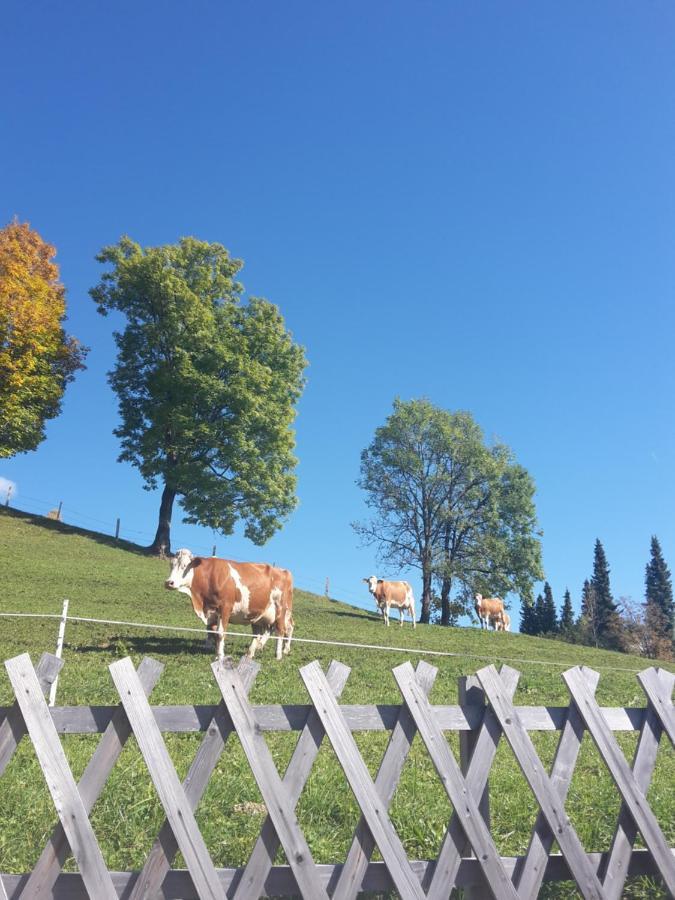 Bergpension-Ebental Brixen im Thale Dış mekan fotoğraf