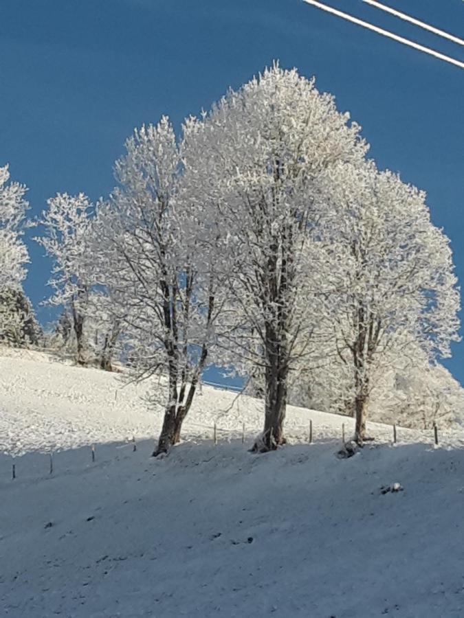 Bergpension-Ebental Brixen im Thale Dış mekan fotoğraf
