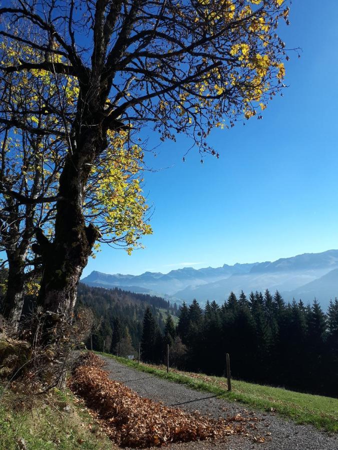 Bergpension-Ebental Brixen im Thale Dış mekan fotoğraf