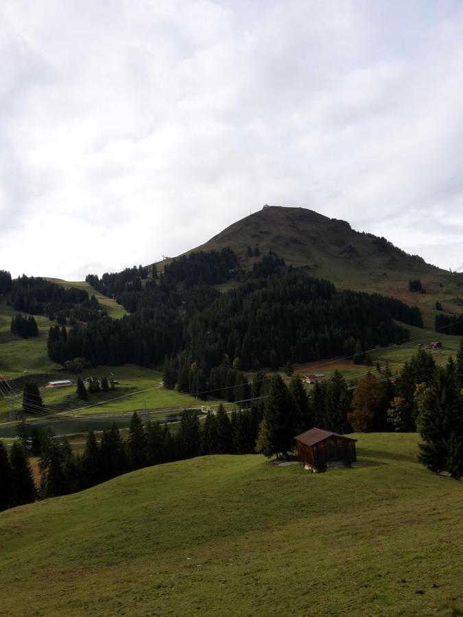 Bergpension-Ebental Brixen im Thale Dış mekan fotoğraf