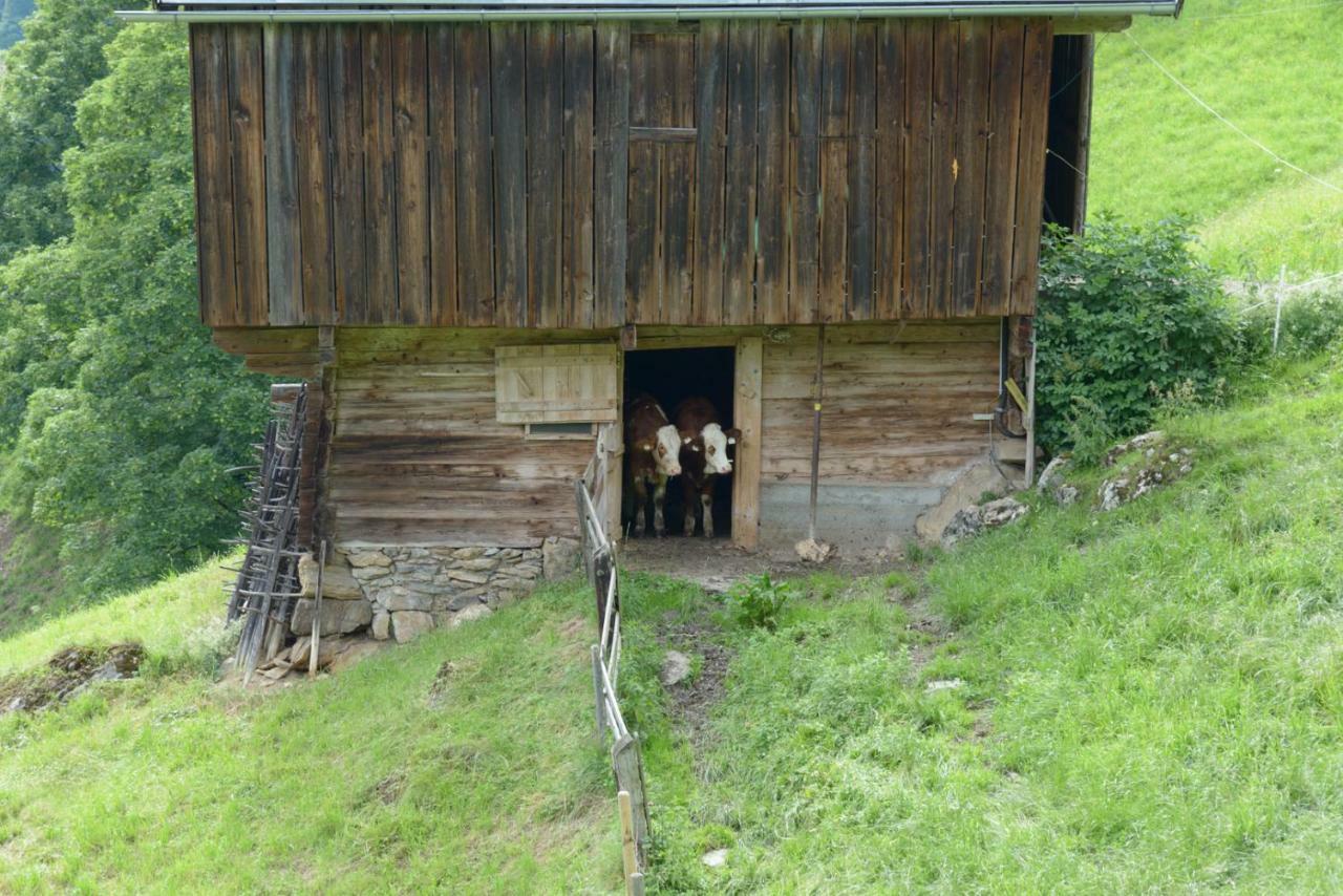 Bergpension-Ebental Brixen im Thale Dış mekan fotoğraf